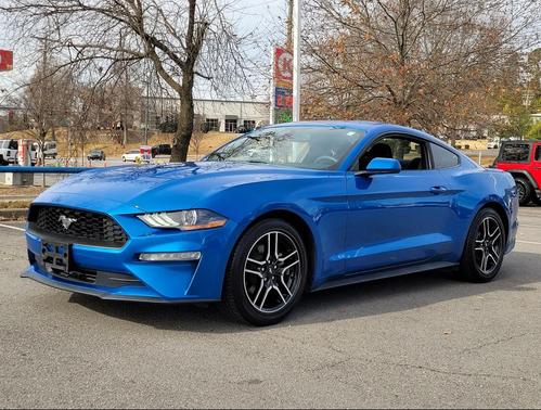 2019 Ford Mustang EcoBoost