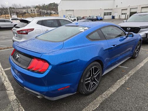 2019 Ford Mustang EcoBoost