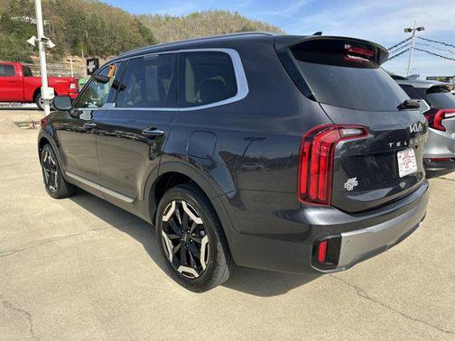 Panthera Metal 2025 Kia Telluride S
