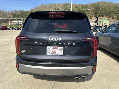 Panthera Metal 2025 Kia Telluride S