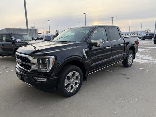 2021 Ford F-150 Platinum