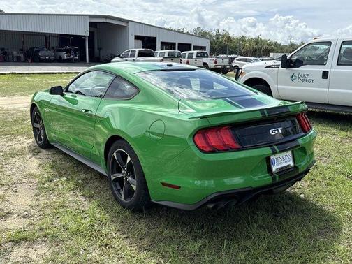 Need for Green 2019 Ford Mustang GT