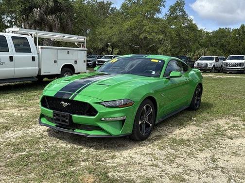 Need for Green 2019 Ford Mustang GT