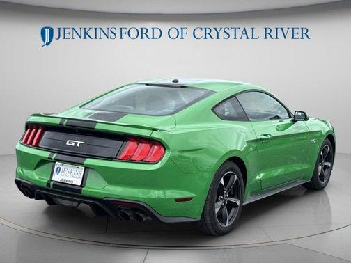 Need for Green 2019 Ford Mustang GT