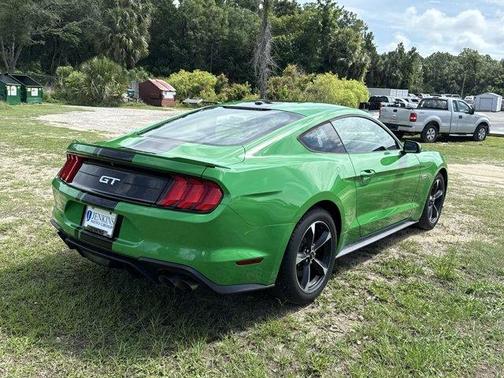 Need for Green 2019 Ford Mustang GT