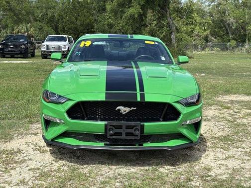 Need for Green 2019 Ford Mustang GT