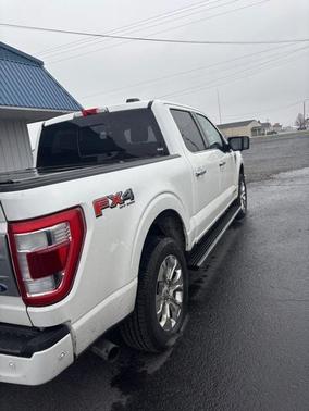 2021 Ford F-150 Platinum