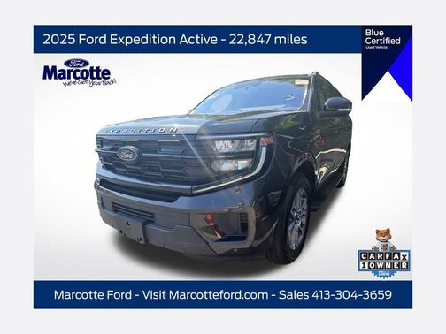 Gray Metallic 2025 Ford Expedition Active