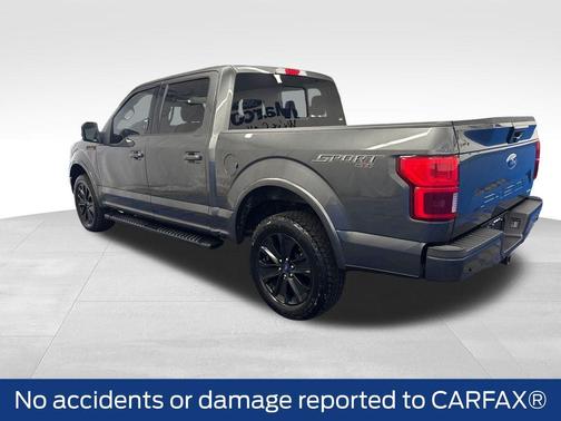 Magnetic 2019 Ford F-150 Lariat