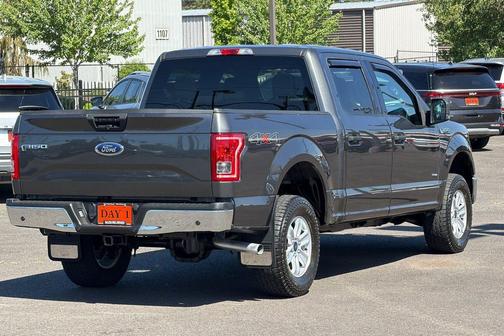 Magnetic 2015 Ford F-150 XLT