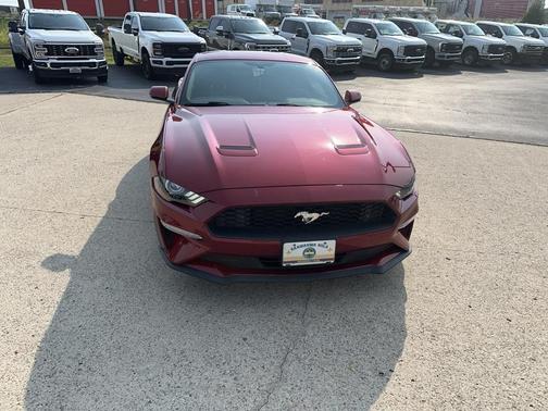 2019 Ford Mustang EcoBoost