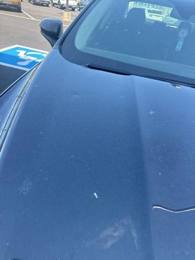 Alto Blue Metallic Tinted Clearcoat 2020 Ford Fusion SE