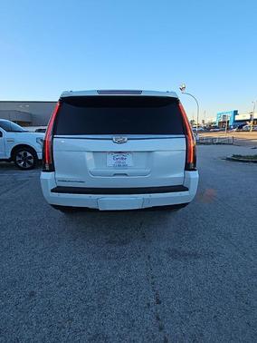 2019 Cadillac Escalade Standard