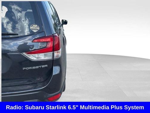 Dark Gray Metallic 2019 Subaru Forester