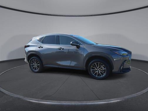 Cloudburst Gray 2024 Lexus NX 250 Premium