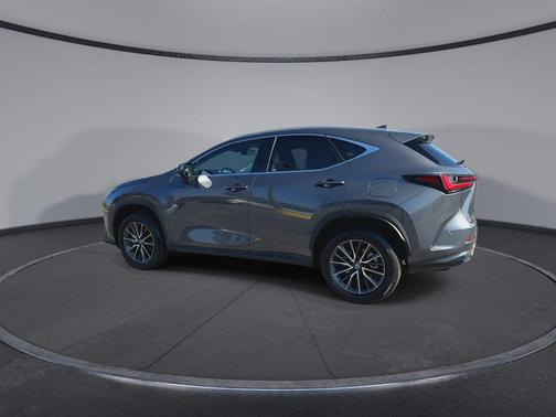 Cloudburst Gray 2024 Lexus NX 250 Premium