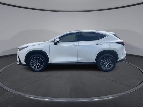 2025 Lexus NX 250 Premium