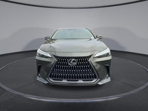 Nori Green Pearl 2023 Lexus NX 250 Premium