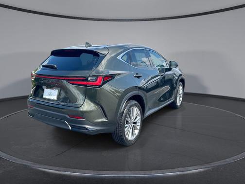 Nori Green Pearl 2026 Lexus NX 350 Luxury