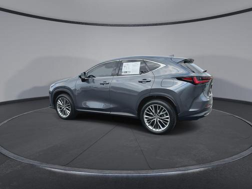 Cloudburst Gray 2026 Lexus NX 350 Luxury