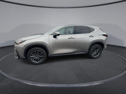 Atomic Silver 2024 Lexus NX 250 Premium