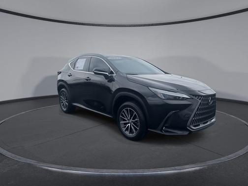 Caviar 2024 Lexus NX 250 Premium