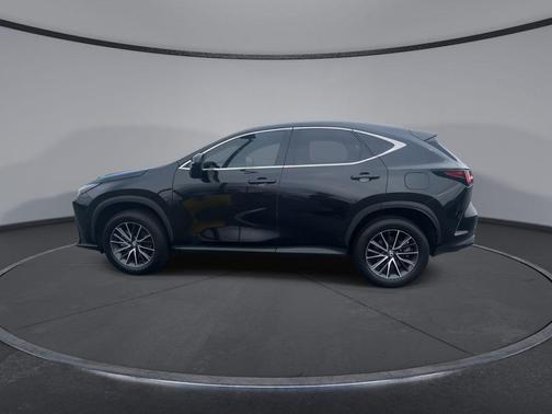 Caviar 2024 Lexus NX 250 Premium