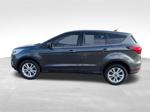 Magnetic 2019 Ford Escape SE