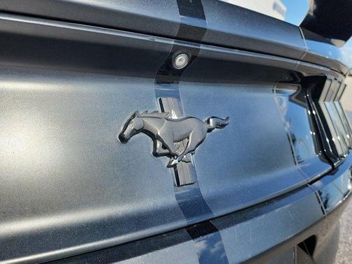 2017 Ford Mustang V6