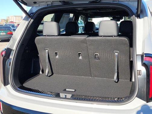 2025 Kia Telluride SX-Prestige X-Pro