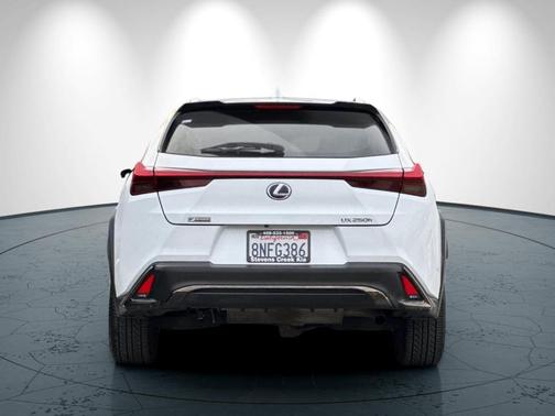 2019 Lexus UX 250h 