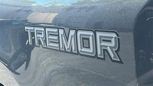 Gray 2025 Ford F-250 Platinum