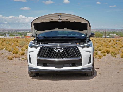 Radiant White/Black Obsidian 2026 INFINITI QX60 SPORT AWD
