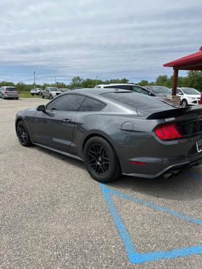 Magnetic Metallic 2019 Ford Mustang GT