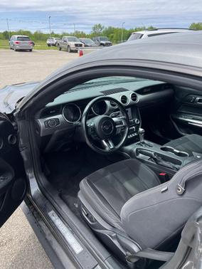 Magnetic Metallic 2019 Ford Mustang GT