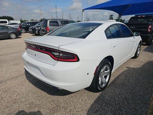 White Knuckle Clearcoat 2019 Dodge Charger Police