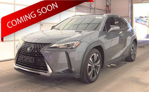 Nebula Gray Pearl 2019 Lexus UX 250h Base