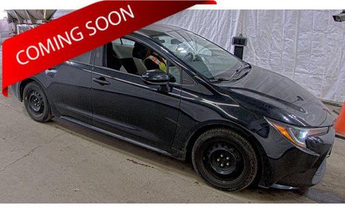 Black Sand Pearl 2020 Toyota Corolla LE