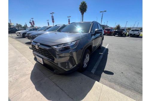 Magnetic Gray Metallic 2025 Toyota RAV4 XLE