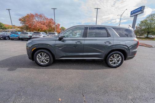 Rainforest 2021 Hyundai PALISADE SE