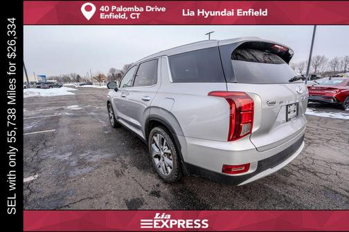 Typhoon Silver 2022 Hyundai PALISADE SEL