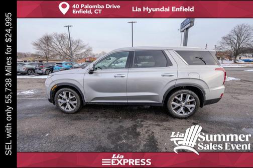 Typhoon Silver 2022 Hyundai PALISADE SEL