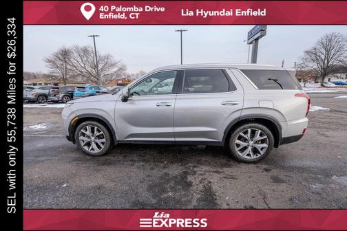 Typhoon Silver 2022 Hyundai PALISADE SEL