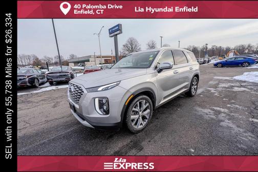 Typhoon Silver 2022 Hyundai PALISADE SEL