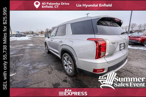 Typhoon Silver 2022 Hyundai PALISADE SEL