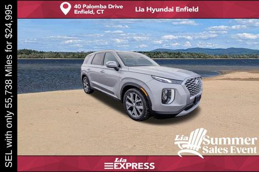 Typhoon Silver 2022 Hyundai PALISADE SEL