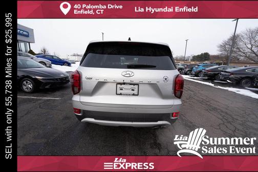 Typhoon Silver 2022 Hyundai PALISADE SEL