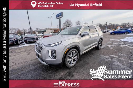 Typhoon Silver 2022 Hyundai PALISADE SEL