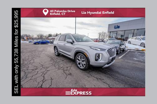 Typhoon Silver 2022 Hyundai PALISADE SEL
