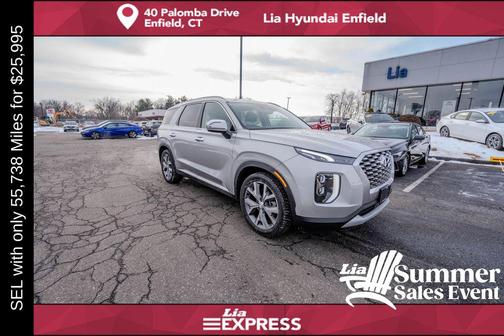 Typhoon Silver 2022 Hyundai PALISADE SEL